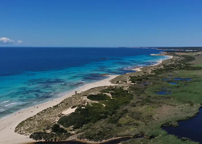 Gardens By Menorcarentals Appart hôtel Son Bou